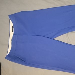 Loft Blue Dress Pants